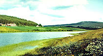 Swedish countryside