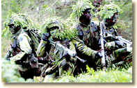 Swedish soldiers training for war.